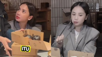 Shandy Purnamasari Beli Donat Pinkan Mambo, Reaksi Nagita Slavina yang Ikut Cicipi Jadi Sorotan!