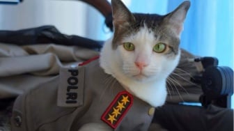 Bobby, Polisi, dan Kucing yang Lebih Berharga dari Warga Negara?