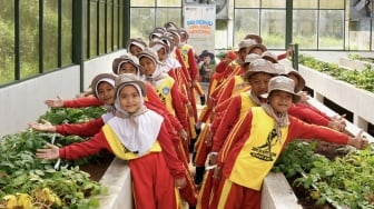 BRI Peduli Ajak Anak-anak SD Garut Belajar Pertanian Lewat Program Agroedukasi