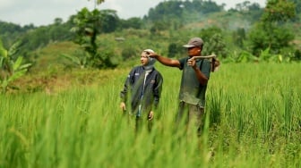 BRI Salurkan KUR Rp83,38 Triliun, Sebagian Besar Dialokasikan ke Sektor Produksi