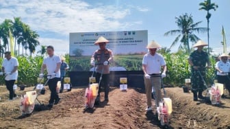 Ba Jaguang dari Ranah Minang, Perkuat Ketahanan Pangan Nasional di Tengah Krisis Pasokan!