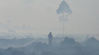 Karhutla di Jambi Meluas, 250 Hektar Lahan Terbakar