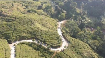 Jalan yang Ditinggalkan 79 Tahun Akhirnya Tersentuh! Bupati Bogor Rela Pangkas Anggaran