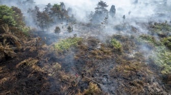 Foto udara aparat TNI dan petugas Manggala Agni Daops Kota Jambi memadamkan api kebakaran hutan dan lahan (karhutla) di lahan gambut Desa Gambut Jaya, Muaro Jambi, Jambi, Kamis (24/7/2025). [ANTARA FOTO/Wahdi Septiawan/bar]