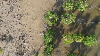 Dihantam Krisis Iklim, Pulau-pulau Kecil di Sabu Raijua Butuh Inovasi dan Solusi Berkelanjutan