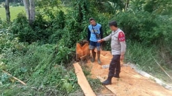 Renovasi Berujung Jeruji Besi: Warga Pandeglang Tebang Pohon di TNUK Terancam 10 Tahun Penjara