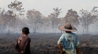Usai Badan Restorasi Gambut dan Mangrove Dibubarkan, Pemerintah Keroyokan Hadapi Ancaman Kebakaran