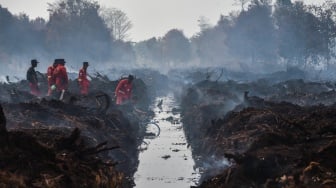 Karhutla di Muaro Jambi Masih Membara, 270 Hektar Lahan Terbakar