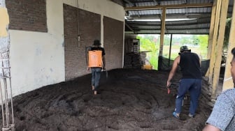 UMKM Aceh Produksi 5 Ton Pupuk per Hari dari Kotoran Hewan, Omzet Tembus Rp 50 Juta