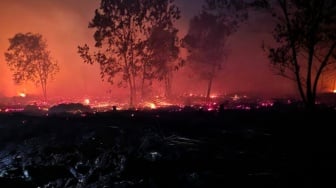 BMKG Ingatkan Kaltim: Kemarau Basah Bisa Picu Karhutla dan Krisis Air