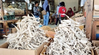 Badan Pangan Nasional Temukan Ikan Asin di Pasar Legi Mengandung Formalin