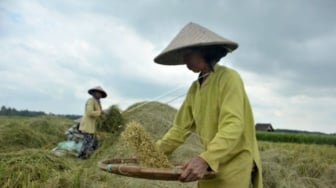 Dorong Kemandirian Pangan, Mahulu Bangun Sistem Pertanian Terstruktur Tiap Kampung