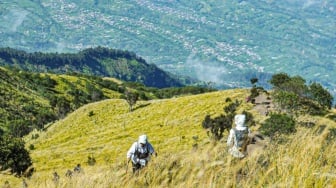 Trail Run di Gunung Jawa Tengah: Taklukkan Merapi Merbabu, Saksikan Panorama Memukau yang Mendunia!