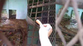 Miris! Kondisi Medan Zoo Viral Lagi: Hewan Stres, Kandang Kotor Tak Terurus