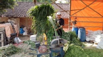 KUR BRI Angkat Usaha Pakan Ternak Ponorogo ke Level Lebih Tinggi