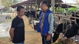 Usaha Pakan Ternak di Ponorogo Berkembang Berkat Akses KUR BRI