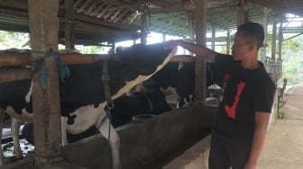 Kisah Pengusaha Pakan Ternak dari Ponorogo Ini Buktikan KUR BRI Bisa Bikin Usaha Berkembang