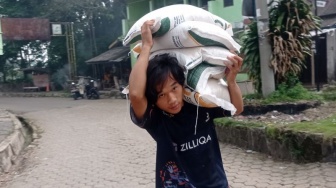 Punya Lumbung Padi 'Leuit' Anti-Kelaparan, Mengapa Warga Baduy Tetap Terima Bansos Beras?