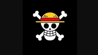 Bendera One Piece dan Simbol Negara: Komnas HAM Vs Menteri, Siapa yang Benar?