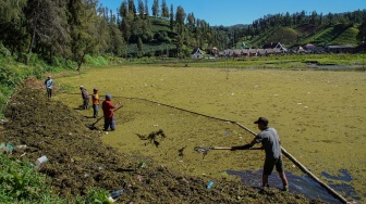 Petugas membersihkan danau Ranu Pani dari tumbuhan paku air (Azzola pinnata) yang telah menyusut menjadi 3,4 hektare dari sebelumnya 5,9 hektare di Kawasan Taman Nasional Bromo Tengger Semeru (TNBTS), Lumajang, Jawa Timur, Kamis (7/8/2025). [ANTARA FOTO/Irfan Sumanjaya/agr]
