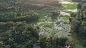 Brantas Abipraya Dukung Asta Cita Lewat Pembangunan Irigasi  di Empat Wilayah Indonesia