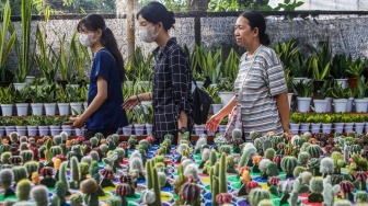 Melihat Beragam Tanama Hias di Flona 2025