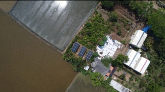 Optimalkan PLTS, Pertamina NRE Dongkrak Pertanian di Cilamaya