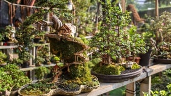 Warga mengunjungi Pameran Flora dan Fauna (Flona) Jakarta 2025 di Lapangan Banteng, Jakarta, Sabtu (9/8/2025). [Suara.com/Alfian Winanto]