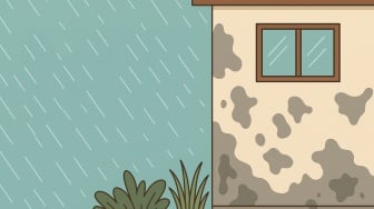 Solusi Ampuh Atasi Dinding Rumah Lembap
