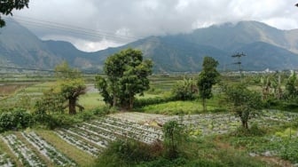 Rinjani Siap Menyambut Pendaki Mulai 11 Agustus 2025 Dengan Aturan Baru