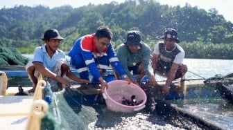 Pertamina Patra Niaga Ajak Masyarakat Wujudkan Aksi Nyata di Hari Konservasi Alam Nasional 2025