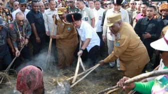 Hadiri Acara Bakar Batu, Mendagri dan Menteri PKP Jalin Dialog Bersama Masyarakat Papua Pegunungan