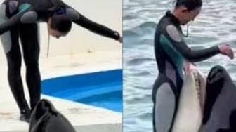 Viral Tragedi Fiktif Jessica Radcliffe Dimakan Paus Gegara Popularitas Insiden Nyata, Benarkah?