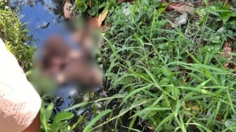 Fakta Terbaru Mayat Perempuan di Selokan Pasaman: Ada Bekas Kekerasan, Hoaks Tanpa Kepala!