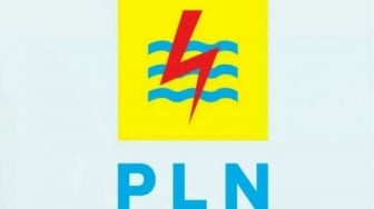 CEK FAKTA: PLN Bagi-bagi Token Listrik Gratis Rp 250 Ribu di HUT ke-80 RI, Waspada Phishing!