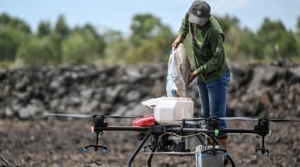 Pekerja menuangkan benih padi di drone untuk ditebar saat tanam perdana di lokasi cetak sawah rakyat (CSR) di kawasan Bati-Bati, Tanah Laut, Kalimantan Selatan, Selasa (12/8/2025). [ANTARA FOTO/Hafidz Mubarak A/YU]