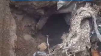 Misteri Lubang di Depok: Asap Mengepul, Suhu 70 Derajat dan Bau Belerang Gegerkan Warga!
