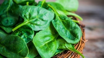 5 Manfaat Bayam, Benarkah Bisa Perpanjang Usia dan Lindungi Otak?