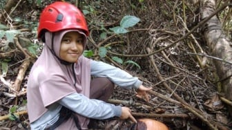 Bonggol Rafflesia Arnoldi Ditemukan di Solok, Bakal Mekar dalam Waktu Dekat!