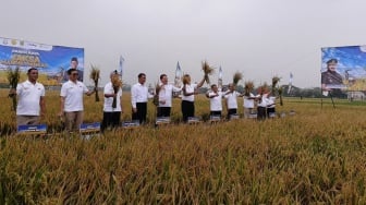 Program Jaksa Mandiri Pangan Mulai Panen, Bulog Serap Seluruh Hasil Gabah Petani