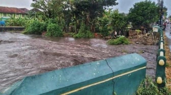 Hujan Angin Kencang Guyur 3 Daerah di DIY, BPBD Laporkan Pohon Tumbang hingg Baliho Roboh