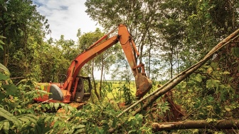 Jangan Biarkan Anak Cucu Kita Hanya Mengenal Hutan Lewat Buku Pelajaran