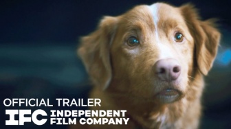 Trailer Good Boy Dirilis, Suguhkan Horor dari Sudut Pandang Seekor Anjing