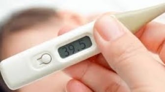 5 Obat Herbal Atasi Demam, Aman Dikonsumsi Saat Cuaca Tak Menentu!