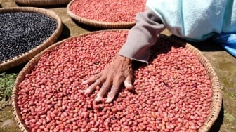 3 Manfaat Kacang Merah, Benarkah Atasi Sembelit?