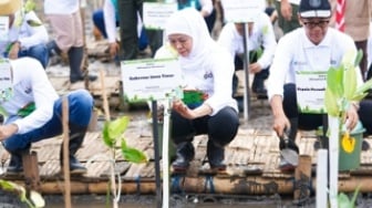 Festival Mangrove, Gubernur Khofifah Ajak Warga Jaga Ekosistem dan Bangun Ekonomi Berkelanjutan