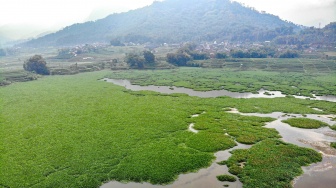 Foto udara kondisi Waduk Selorejo di Kabupaten Malang, Jawa Timur, Jumat (22/8/2025). [ANTARA FOTO/Muhammad Mada/rwa]