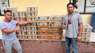 1300 Burung Diselamatkan di Pelabuhan Bakauheni: Penyelundupan Satwa Ilegal Digagalkan