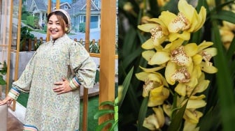 Arti Anggrek Warna Kuning, Bunga yang Diidamkan Mpok Alpa sebelum Tiada