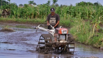 Pejabat Pemprov Sulsel Diperiksa Dugaan Korupsi Alsintan di Soppeng